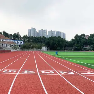 岳阳运动场包工包料施工_承建塑胶跑道足球场硅PU篮球场材料施工_岳阳学校操场升级翻新改造_能冠体育
