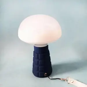 �๦�ܷ����SW2170�������ʽ�����ⷺ�⾯ʾ���Ģ��ͷ�ֳ��е�