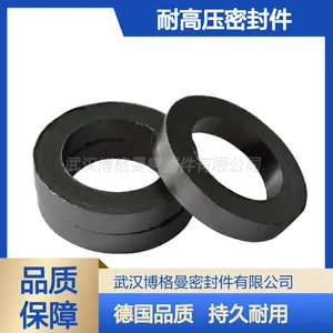 EKKBURGMANN石墨填料环1015/0911 耐高温耐高压密封件现货