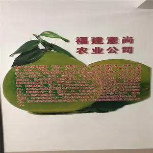 上海正版红宝石青柚苗 两年三红青柚苗培育基地