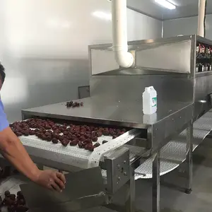 ���ܻ�����ʽ΢������豸 ������ʽ΢����ո���� ����΢������ɱ���豸