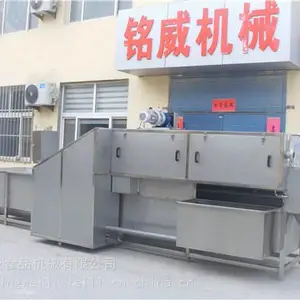 全自动大姜清洗机 贵州洗姜机厂家