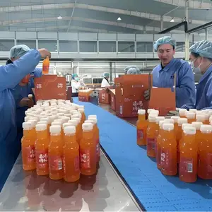 全自动化苹果汁饮料生产线设备 果汁灌装包装设备