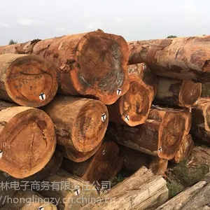 非洲大比马原木