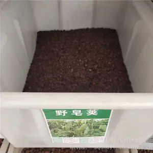 �����²�ժ��ľ���� Ұ�������� ��ѿ*** �۸���� ***