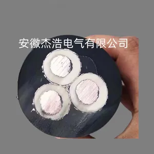 CEFR-SA-3*16船用电缆