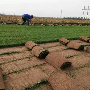 ���� ����ӱ��ƺ��Ƥ ��԰�ܵ�ͥԺ�����̻� �ٳ������ò�