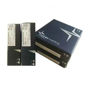 奥钢联伯乐（中国）T Phoenix CrMo 9 V Ni手工电弧焊焊条