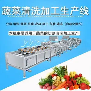 洗毛豆新型设备,海鲜滚筒清洗机,全自动毛豆加工流水线
