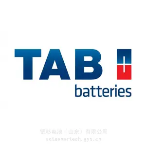 TAB 牵引电池 2V 6 EPzS 480Ah TAB 叉车蓄电池 TAB Batteries 动力电池