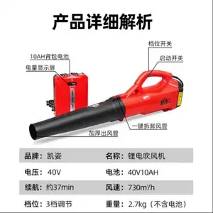 ���˵綯���������Ҷ����ʽ﮵���ʳ����ķ��***���ﴵѩ��