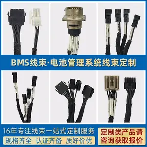 ����Դ������ѹ���� �綯��͵�Դ����ϵͳ���ߺ��������� ��ع���ϵͳ�������Ƽӹ�Դͷ����