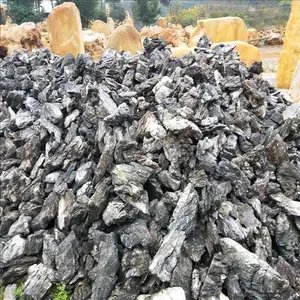 大量供应优质青龙石 园艺造景水族专用青龙石 假山石 量大优惠