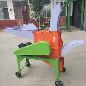 �ո���˿�� �綯����ա�ݻ� �³���ʪ���û���������