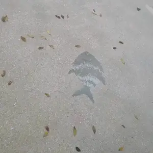 ��ɫ��ʯ�ۺ����ʯ��ƺ��������ϴɰ��ƺȫ��ʩ��������ָ��