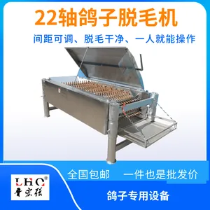 ��ʽ22���ϸ���ë��