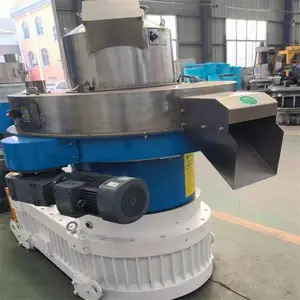 ���500����ľ������ ��ľ������ �ȿǽոѿ�����