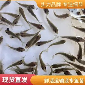 �̻������� ʳ�õ��������� �ɻ�***�ɻ��������ֻ�����