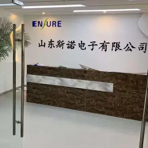 山东斯诺电子有限公司