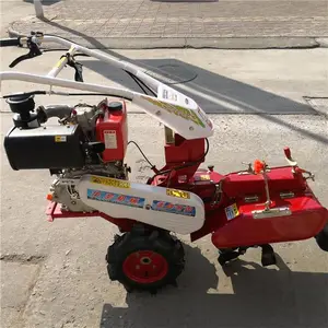 ������п����� ��ֲ��¢������ ����Ĥ������