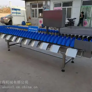 实体工厂水果重量分选机 转盘式生蚝分拣机 红薯分级机 加工定制