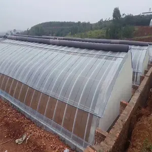 博利品牌 农业大棚 冬季暖棚保温性好 抗雪性能强 生态智能