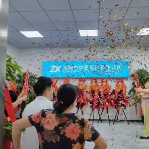 深圳市中星显示有限公司