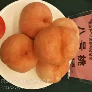 ��������ء�˧ʦ�������硢�´��е������ֻ�