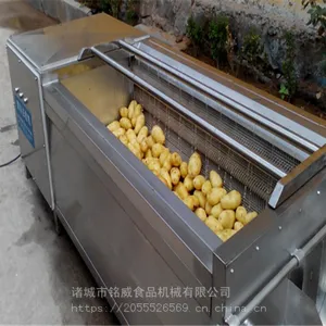 红薯清洗去皮机 毛辊脱皮清洗机厂家