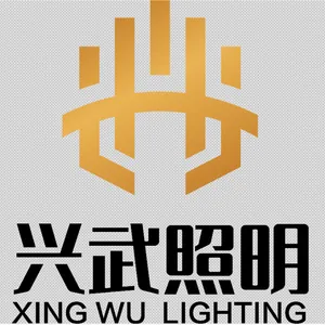 深圳市兴武照明科技有限公司