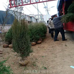 ���� Ĺ���� �̰� ��·�������ɽ������԰Ĺ�� ��������