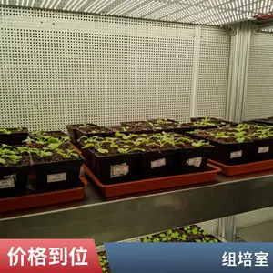 �����������Բա��˹������� ���º�ʪ�յ�����