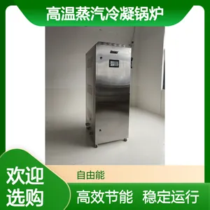 迪森食品厂专用高温蒸汽冷凝锅炉 高效节能稳定运行