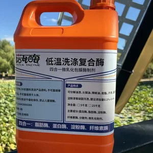 低温可用诺瓦酶复合洗涤酶 洗衣液生产配方配套酶制剂