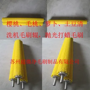 江苏上海浙江湖北河南湖南果蔬清洗机尼龙毛刷辊 核桃去皮毛刷 土豆 毛桃 大枣清洗毛刷辊 抛光打蜡滚刷