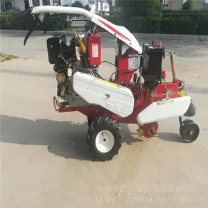 ���������ũ������� �๦�ܹ�԰��԰������ �ع���ֲ������