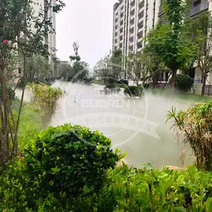 ʲô��������Ӧ����ɭϵͳ��
