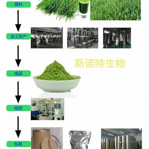 ����޽Ũ���� ***ˮ���� ������ȫ ����˹ŵ��