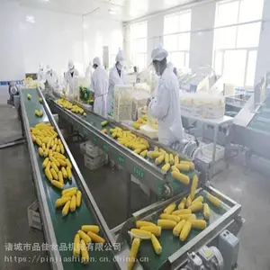 速冻白糯玉米设备 黄糯玉米段 白粘玉米棒需要哪些设备-品佳机械