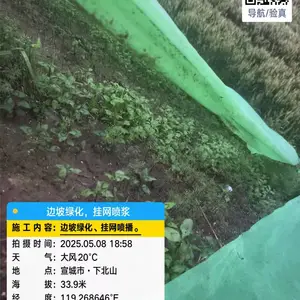 路边坡绿化施工队 矿山复绿 挂网喷草籽护坡植草 多年经验包工包料