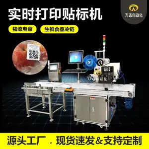 WZ-600 即时打印贴标机 称重打印贴标一体机 电商物流分拣线贴标机 食品蔬果生鲜称重打印贴标机 万志贴标机厂家