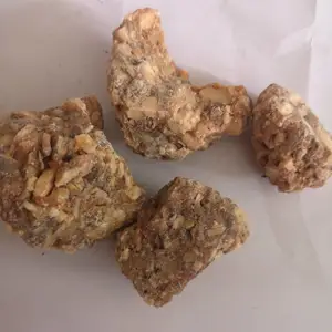���ڰ�Ϣ�����Ǯһ���� ���ڰ�Ϣ�����ﹺ��