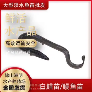 ��2021ʳ�õ�ˮ�����繩Ӧ����ѯ���ݻ���������۸� ����֧�ּ�������