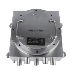 304����ַ�������� ��������ģ���� IIB/IIC����������䶨��