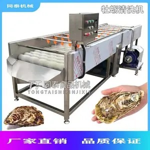 ƽ��ë��ĵ����ϴ�� �Զ�ϴ���������ëˢ��