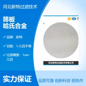 哈氏合金筛板新特滤片可定制尺寸法兰质量有保障