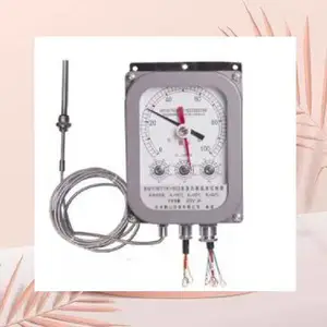 ��ѹ���¶ȿ����� �ͺ�BWY-803ATH/BWY(WTYK)-803 ��ţ�D397073