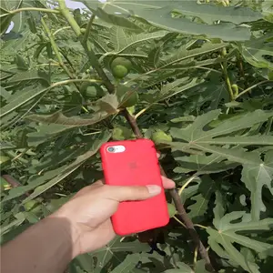 ���������������޻����磬 ��ũ�� �������޻���ʲôʱ������