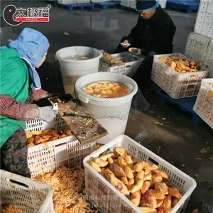 ������Ƥ��/������ӹ��豸/��Ч��/������/�ͺ���ȫ