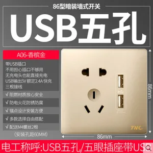 TNC天朗电器A06香槟金二三插墙壁开关五孔插座招商***代理